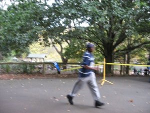 Puffing Billy Run 2017